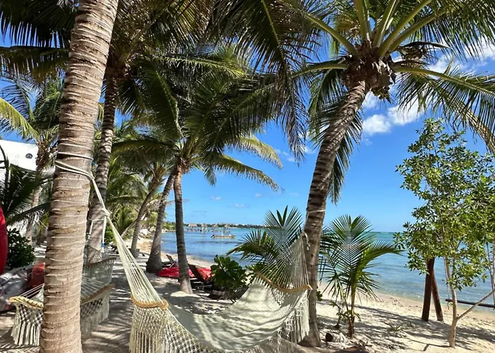 Hotel Jacuzzi: Alea Tulum