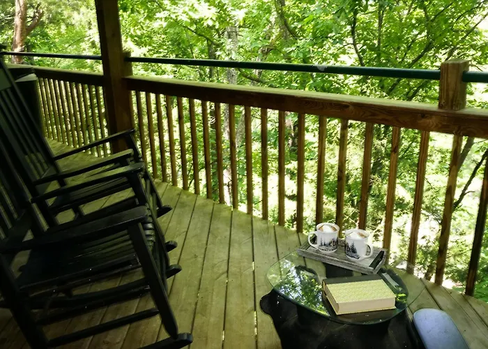 Lazy Bear Den