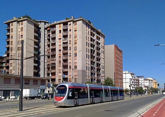  Stradivarious