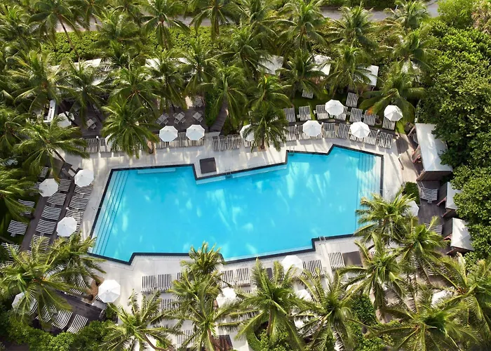 Perros hoteles W South Beach