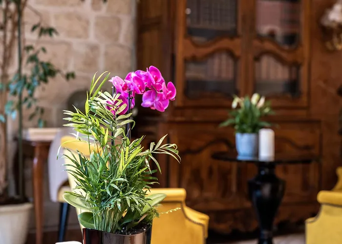 Hotel met uitzicht: Hotel Minerve