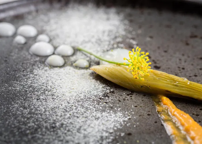 Resort: Clico Boutique Hotel