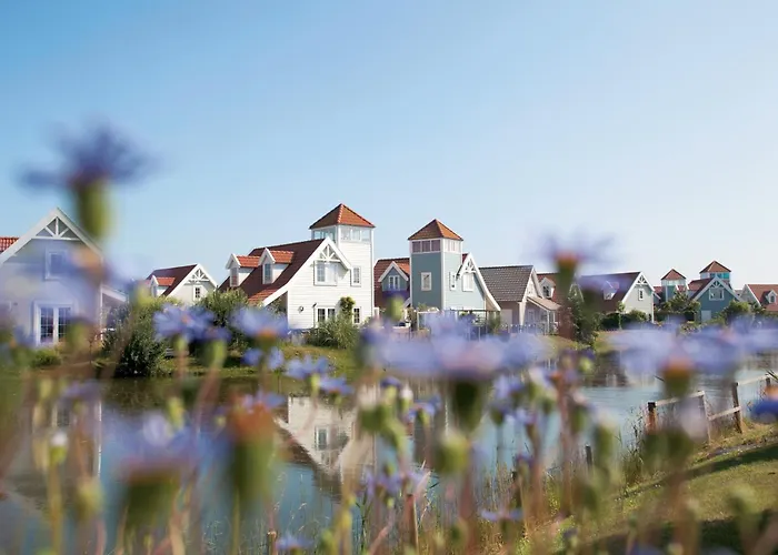 Summio Duynparc De Heeren Van 's-Gravensande