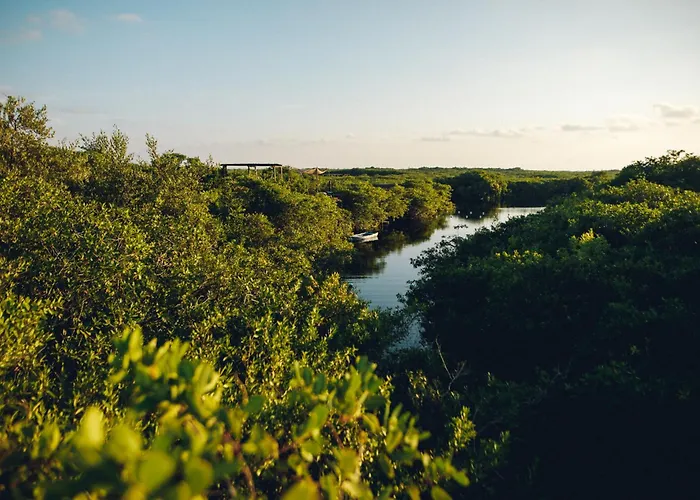 Uman Glamping & Cenote