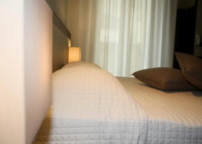 Hotel adatto agli animali: Hotel Dear Rimini