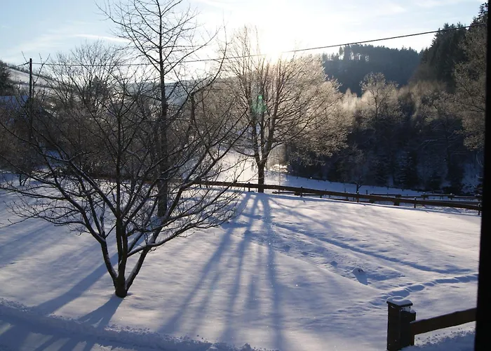 Pension&Ferienhaus Latröpchen Schmallenberg