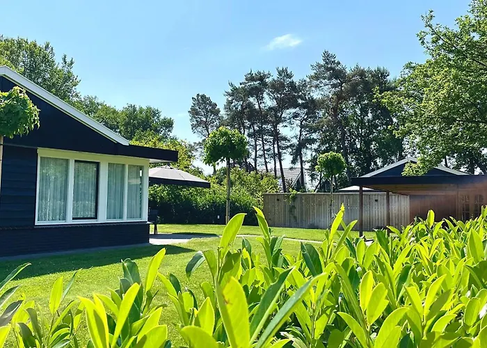  Bungalow Bavelds Home - Denekamp