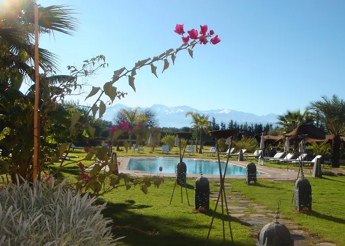 Animaux admis Villa Catherine Marrakech