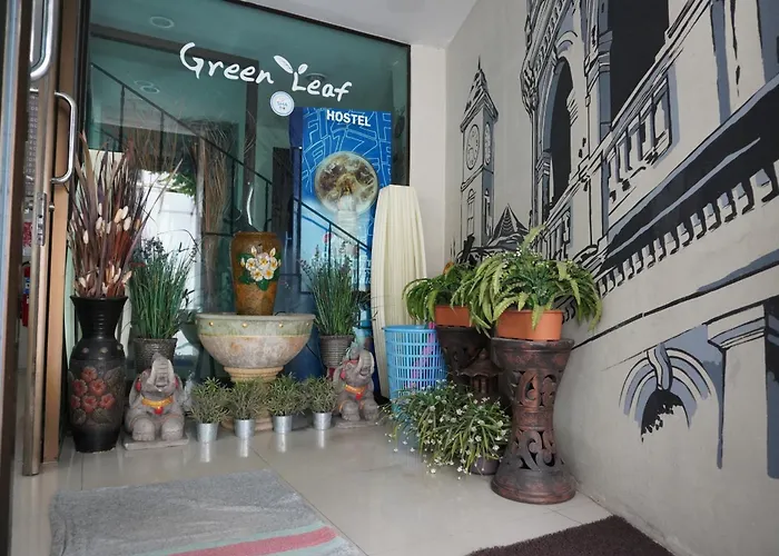 Animaux admis Green Leaf Hostel