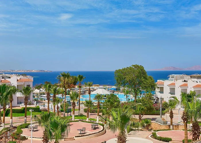 Ping Pong hotel: Dreams Beach Resort - Sharm El Sheikh