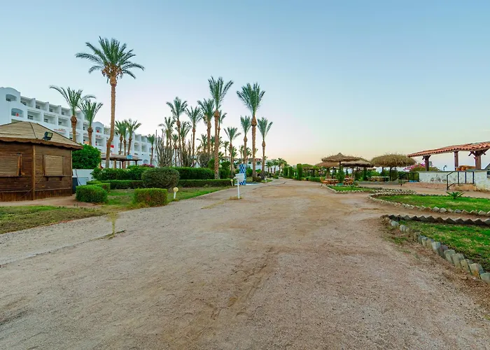 Siva Sharm Resort & Spa