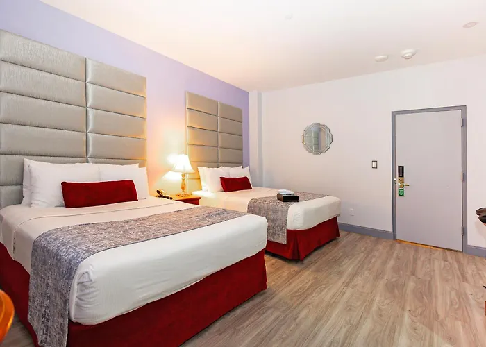 Hôtel accueillant les animaux: Hotel St. James