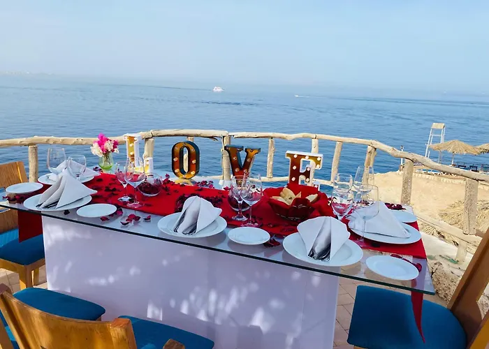 Resort: Sharm Reef Hotel