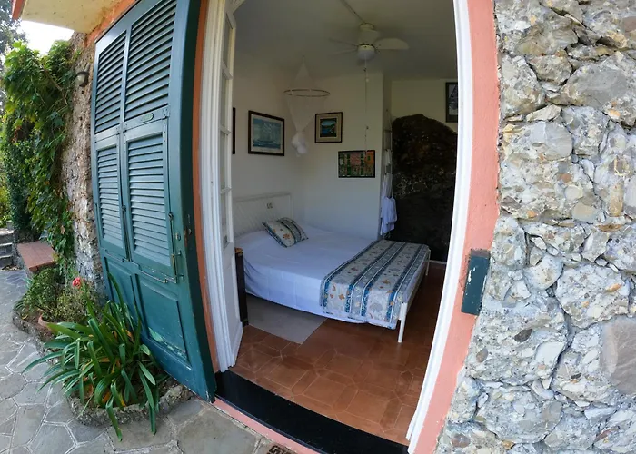 B&B