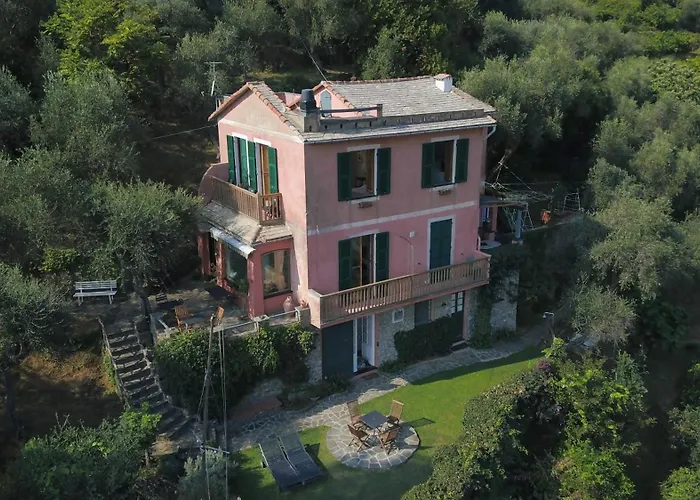 B&B