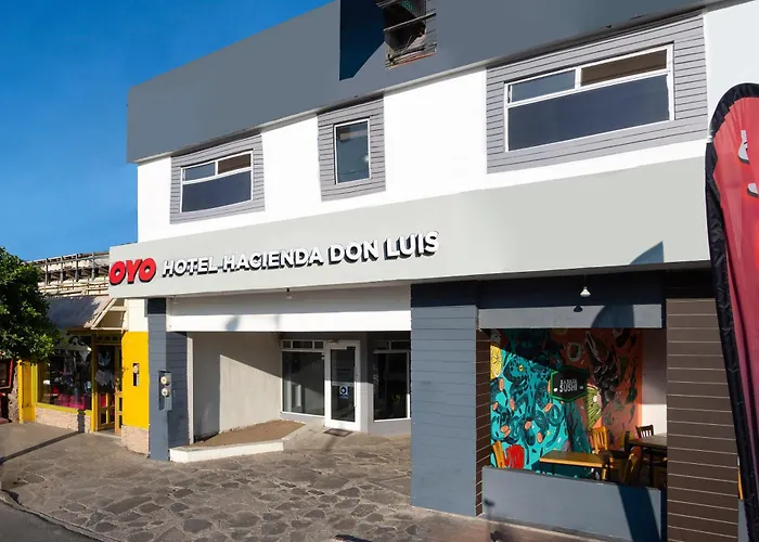 Oyo Hacienda Don Luis