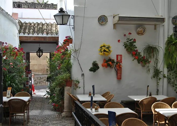 Hôtel bon marché: Los Patios