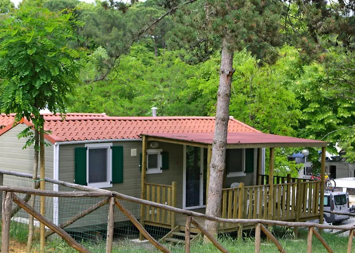 Camping: Camping Siena Colleverde
