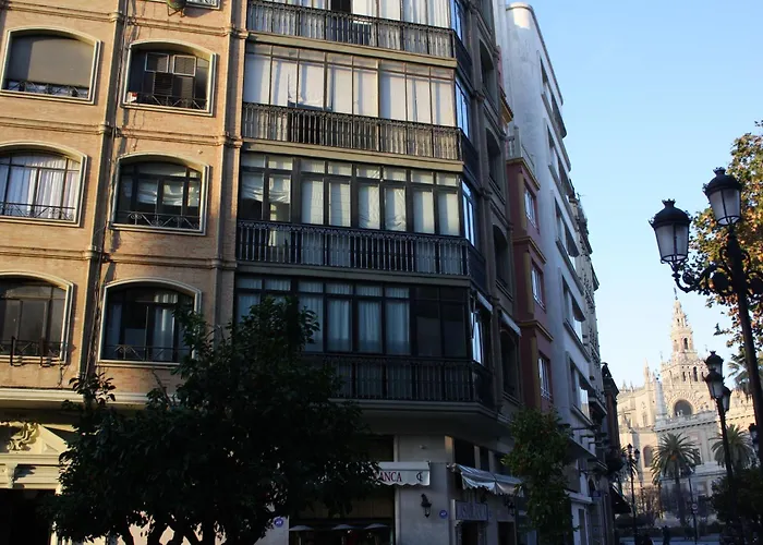  Avenida