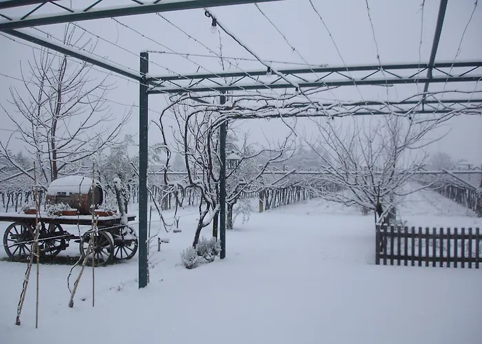 Le Servite Apartments