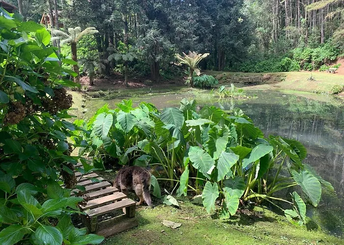 Chalets Do Vale Gramado