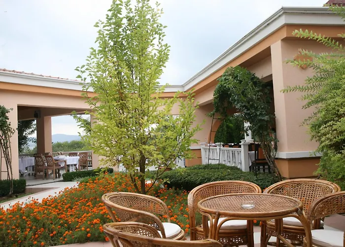Ping Pong Hotel: Duni Holiday Village
