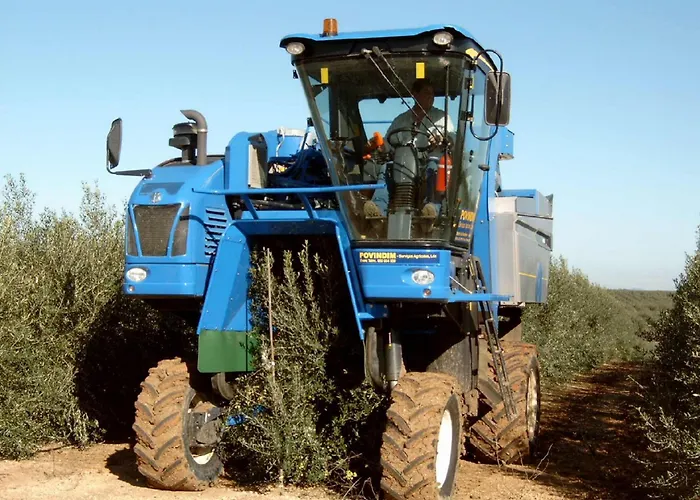 Monte Da Serralheira Agro Turismo