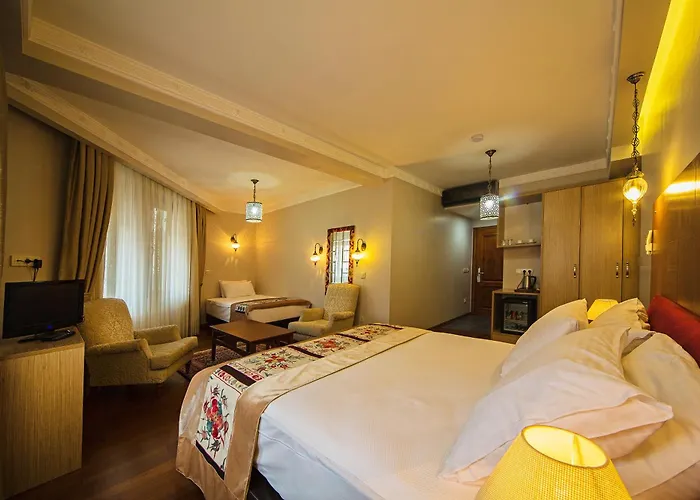 Hôtel 3 étoiles: Apart Hotel Hippodrome