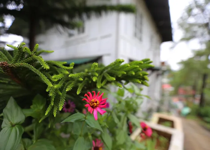 Luxury hotel only: Casa Vallejo Hotel Baguio