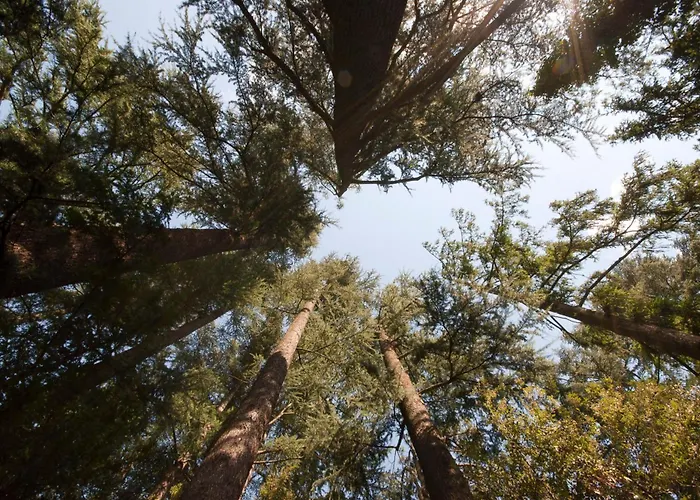 3-Sterne-Hotel: Schloss-Castel Pienzenau - Guestrooms&Apartments - B&B-Hotel&Restaurant