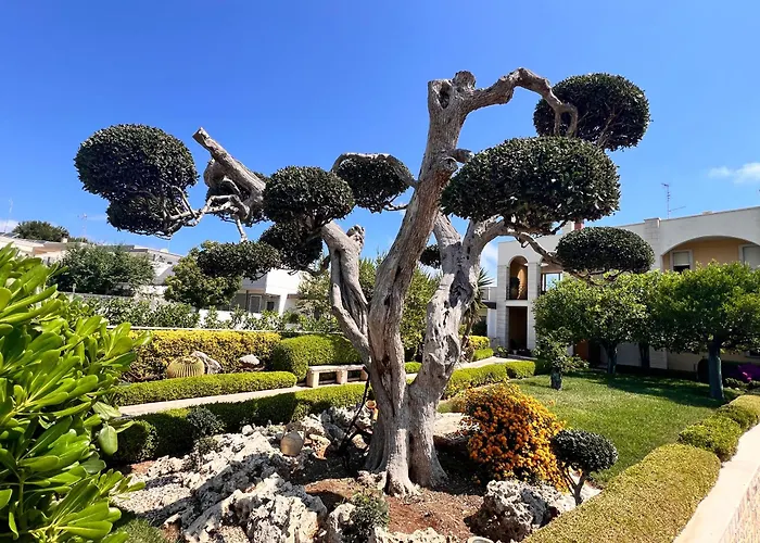 Resort: B&B La Rosa Blu