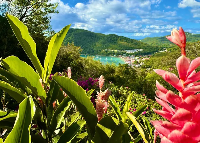 Au Jardin Des Colibris Ecolodge&Spa