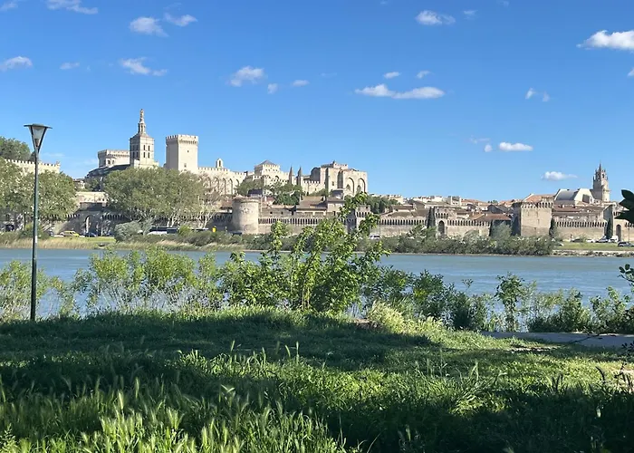 Du Pont D'Avignon