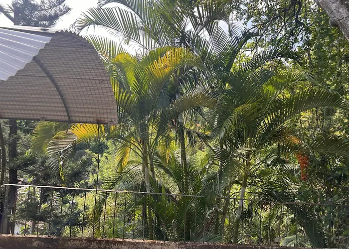 Canopy Villa