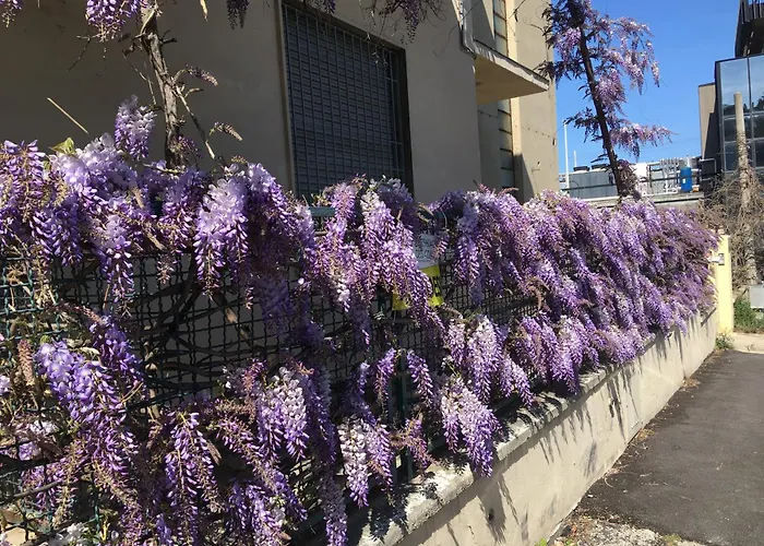 Appartamento il Glicine Pescara Centro