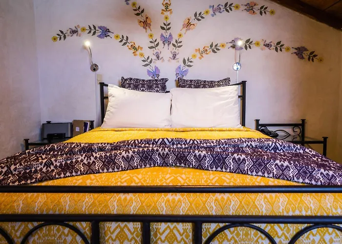 Pets Allowed Hotel Villas Casa Morada