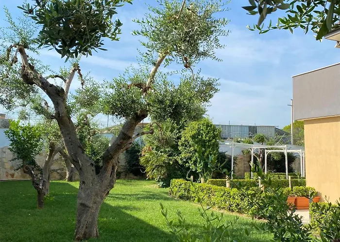 Hotel adatto agli animali: B&B Mirage