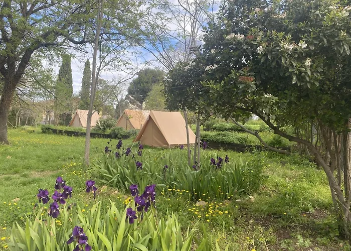 Herberg: Auberge De Jeunesse Hi Marseille Bois-Luzy