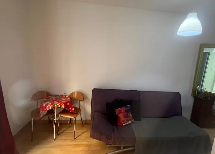 Hotel que admite mascotas: Aparta estudio