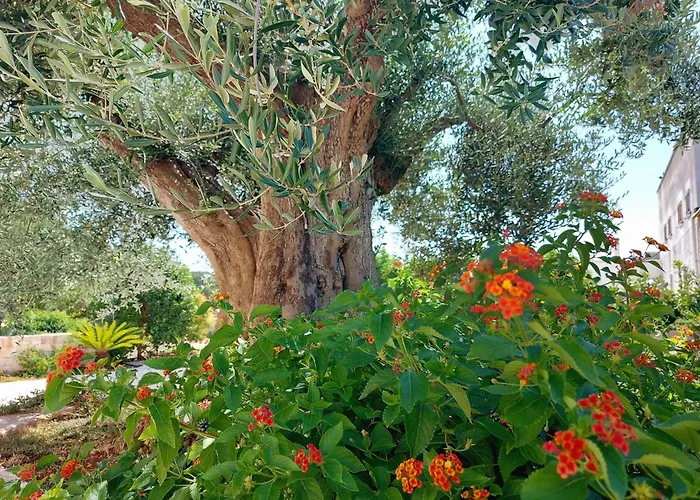 Casa vacanza: Casale Marangi