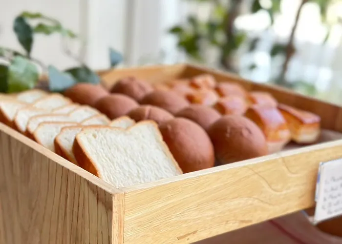 Luxury hotel only: Hotel Keihan Yodoyabashi