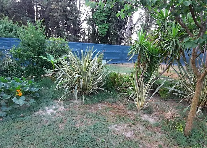  Mas
