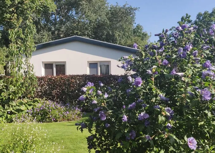 Vakantieverhuur: Vakantiebungalow Texel