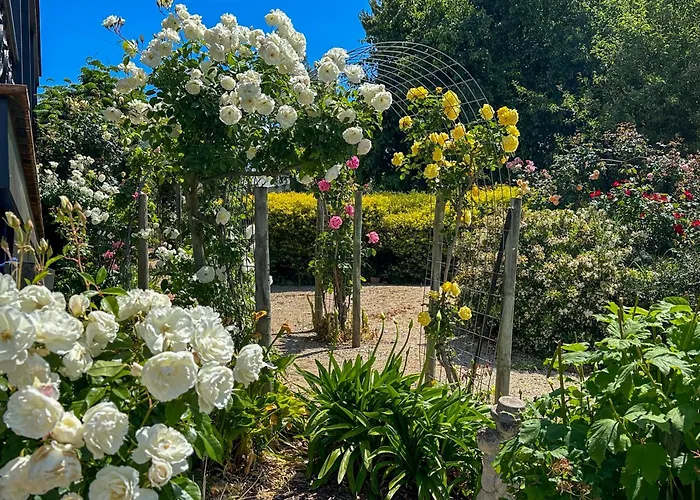 B&B only: The Dragonfly Inn