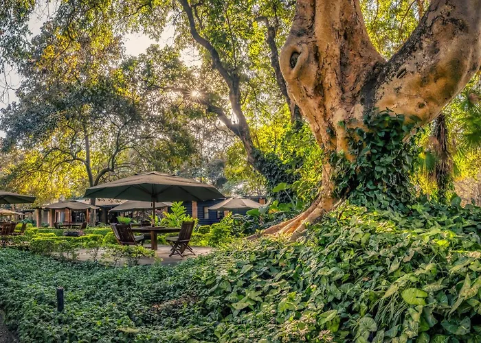 Elewana Arusha Coffee