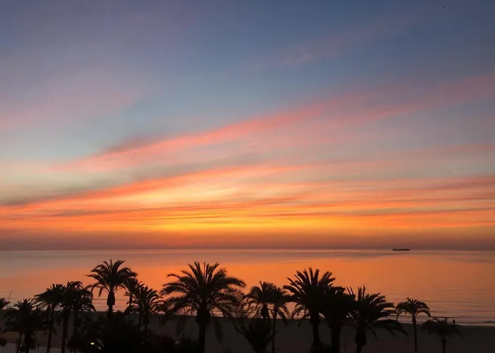 Hotel que admite mascotas: Apartamentos Bahía Alicante