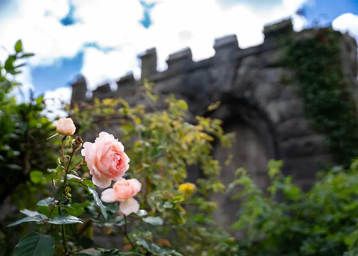 Pets Allowed Hotel Lonsdale House Boutique Apartments