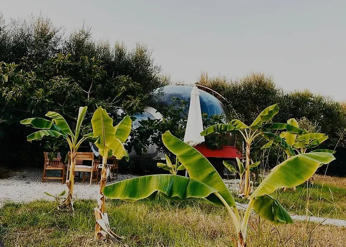 Hotel vicino al College: Bubblenature