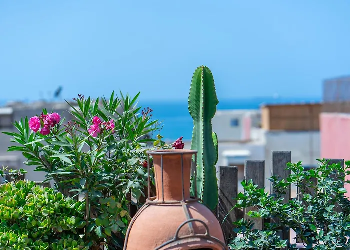Hotel que admite mascotas: Anza Surfhouse