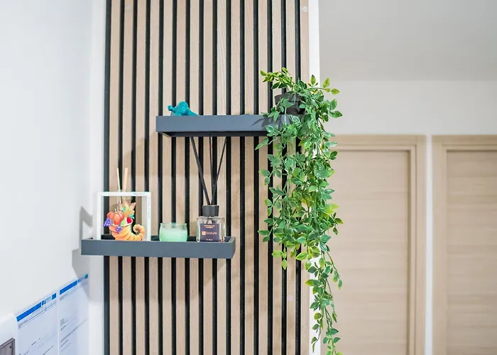 Hotel adatto agli animali: Dodo'S House